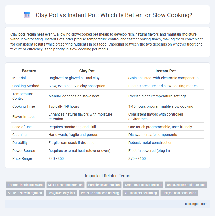 Clay Pot vs Instant Pot: Which Is Better for Slow Cooking?