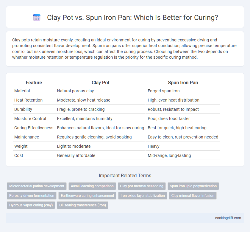 Clay Pot vs. Spun Iron Pan: Which Is Better for Curing?