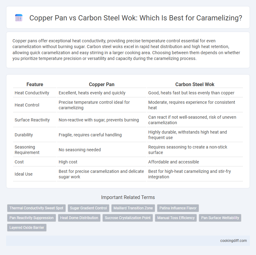 Copper Pan vs Carbon Steel Wok: Which Is Best for Caramelizing?