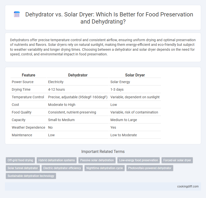 Dehydrator vs. Solar Dryer: Which Is Better for Food Preservation and Dehydrating?