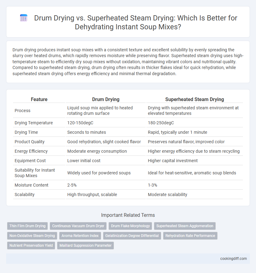 Drum Drying vs. Superheated Steam Drying: Which Is Better for Dehydrating Instant Soup Mixes?