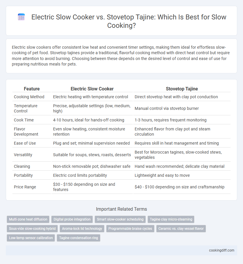 Electric Slow Cooker vs. Stovetop Tajine: Which Is Best for Slow Cooking?