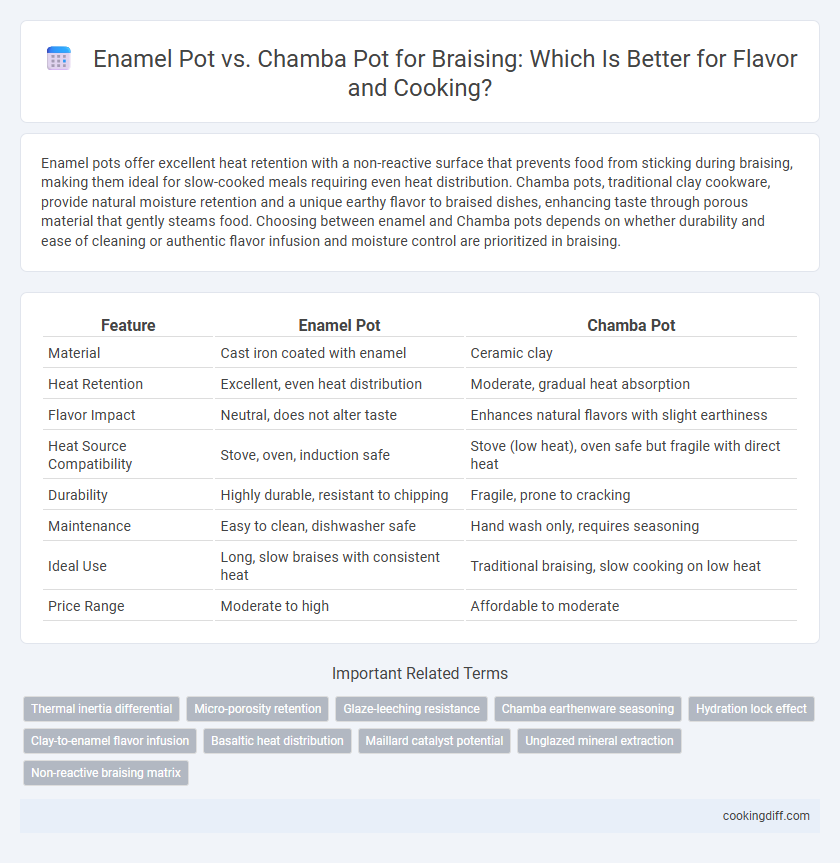 Enamel Pot vs. Chamba Pot for Braising: Which Is Better for Flavor and Cooking?