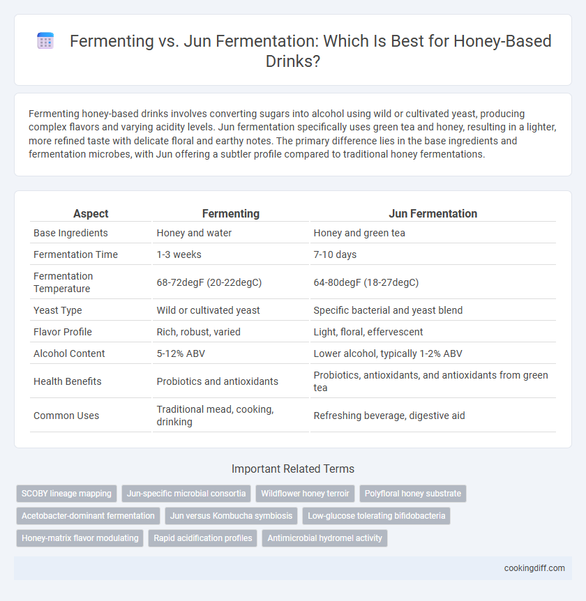 Fermenting vs. Jun Fermentation: Which Is Best for Honey-Based Drinks?