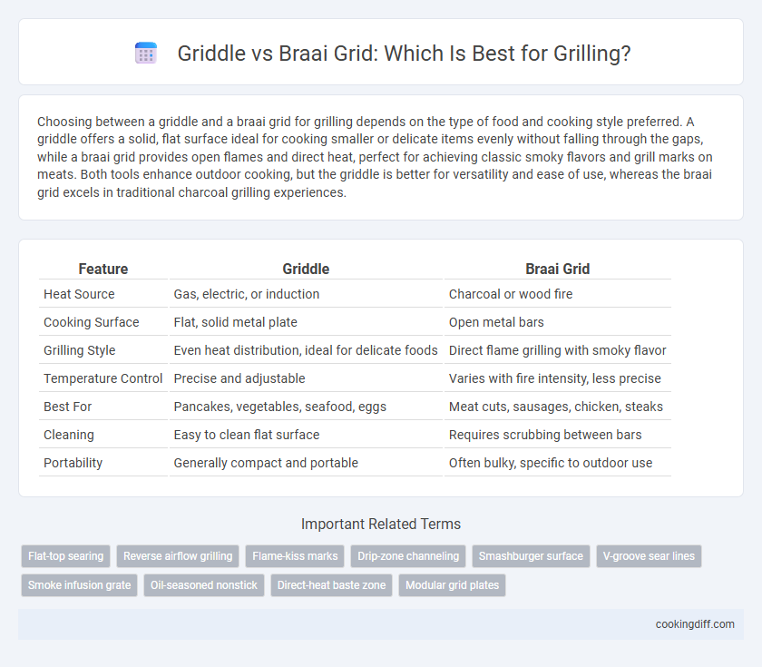 Griddle vs Braai Grid: Which Is Best for Grilling?