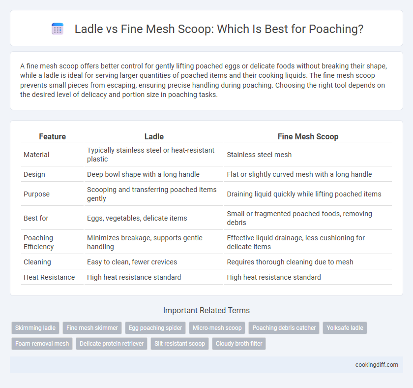 Ladle vs Fine Mesh Scoop: Which Is Best for Poaching?