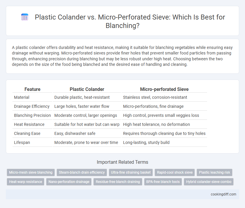 Plastic Colander vs. Micro-Perforated Sieve: Which Is Best for Blanching?