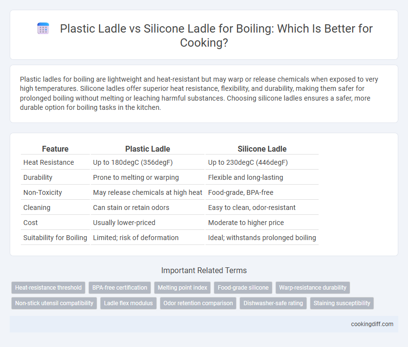 Plastic Ladle vs Silicone Ladle for Boiling: Which Is Better for Cooking?