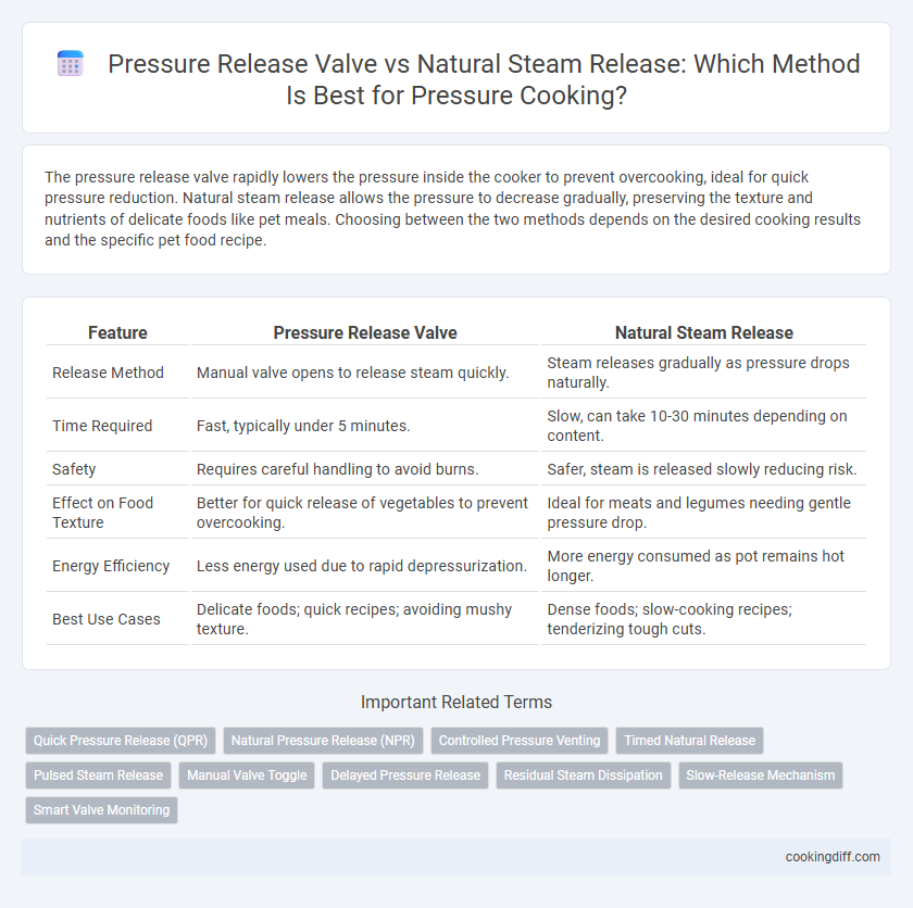 Pressure Release Valve vs Natural Steam Release: Which Method Is Best for Pressure Cooking?