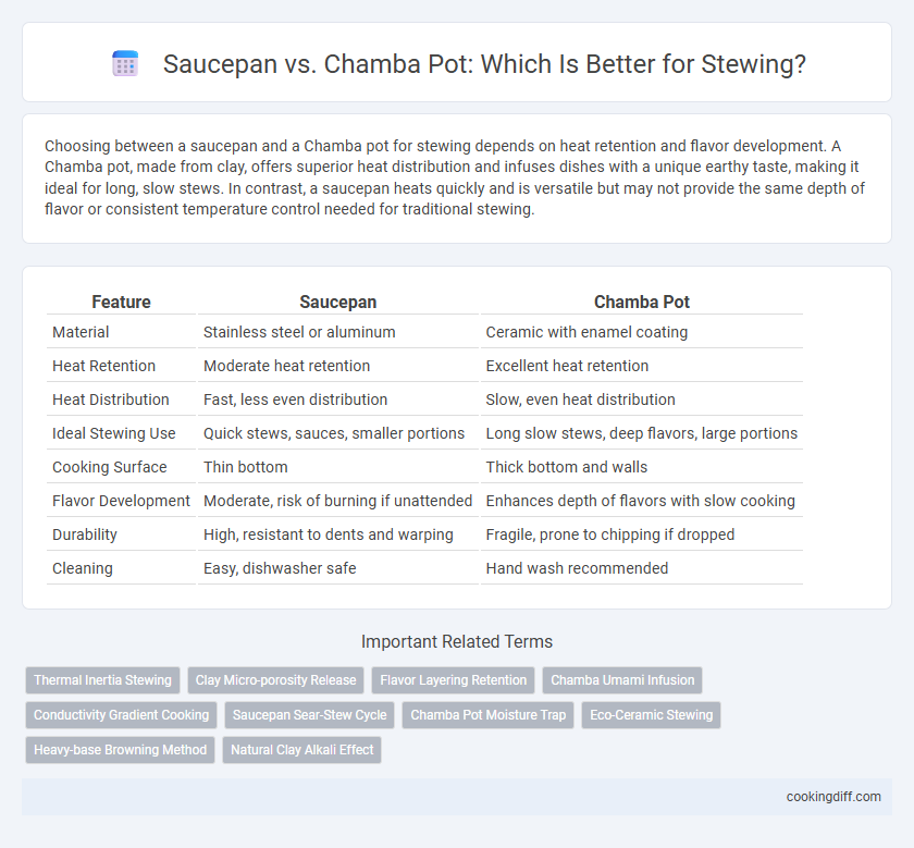 Saucepan vs. Chamba Pot: Which Is Better for Stewing?
