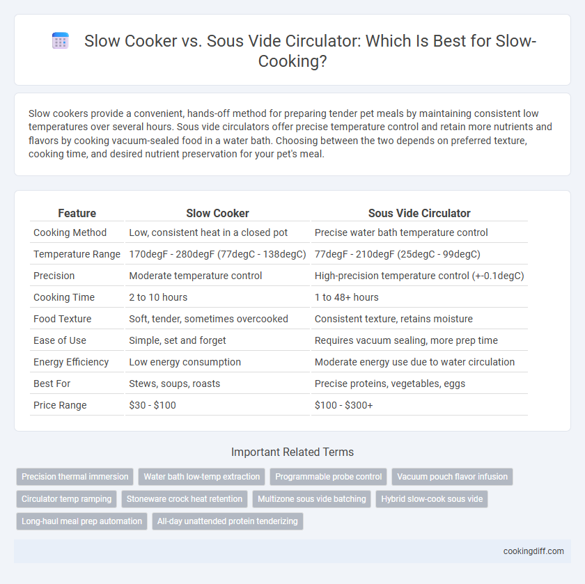 Slow Cooker vs. Sous Vide Circulator: Which Is Best for Slow-Cooking?
