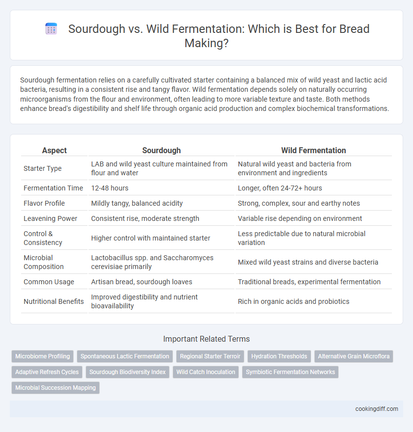 Sourdough vs. Wild Fermentation: Which is Best for Bread Making?