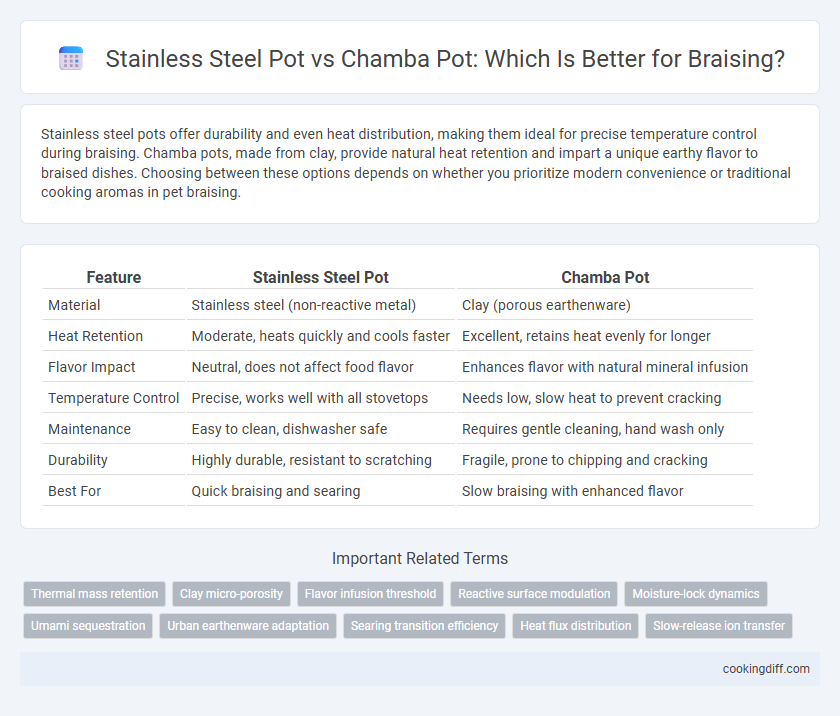 Stainless Steel Pot vs Chamba Pot: Which Is Better for Braising?