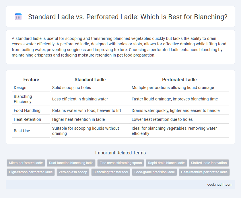 Standard Ladle vs. Perforated Ladle: Which Is Best for Blanching?