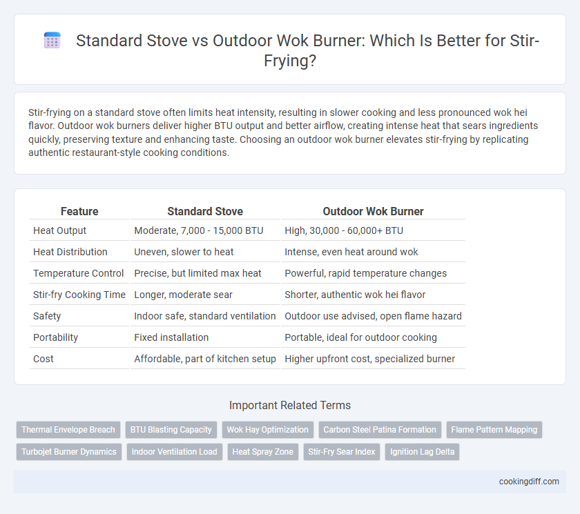 Standard Stove vs Outdoor Wok Burner: Which Is Better for Stir-Frying?