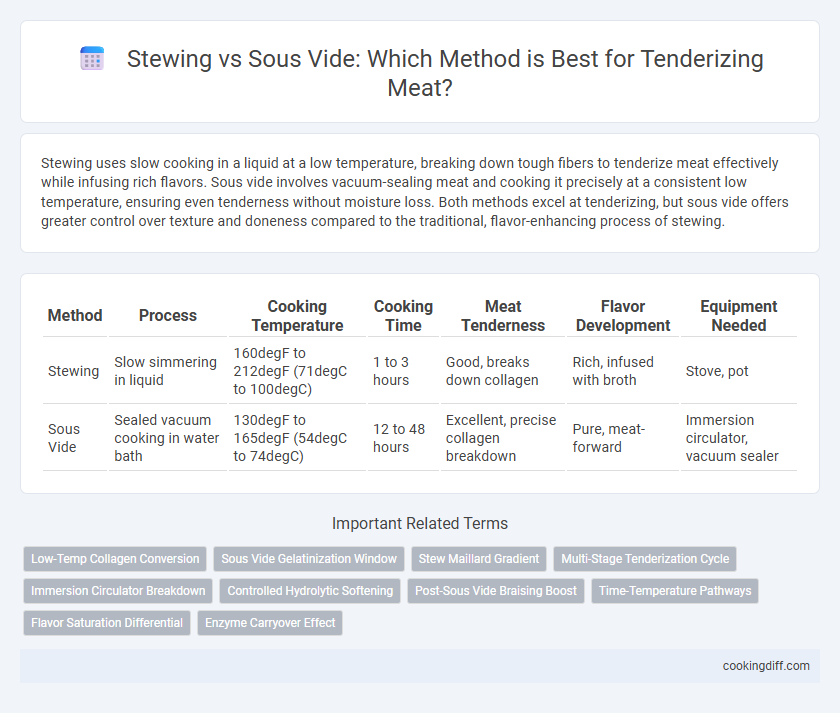 Stewing vs Sous Vide: Which Method is Best for Tenderizing Meat?