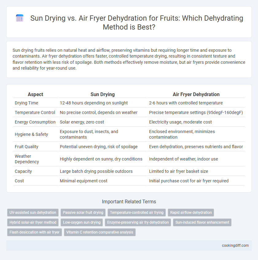 Sun Drying vs. Air Fryer Dehydration for Fruits: Which Dehydrating Method is Best?