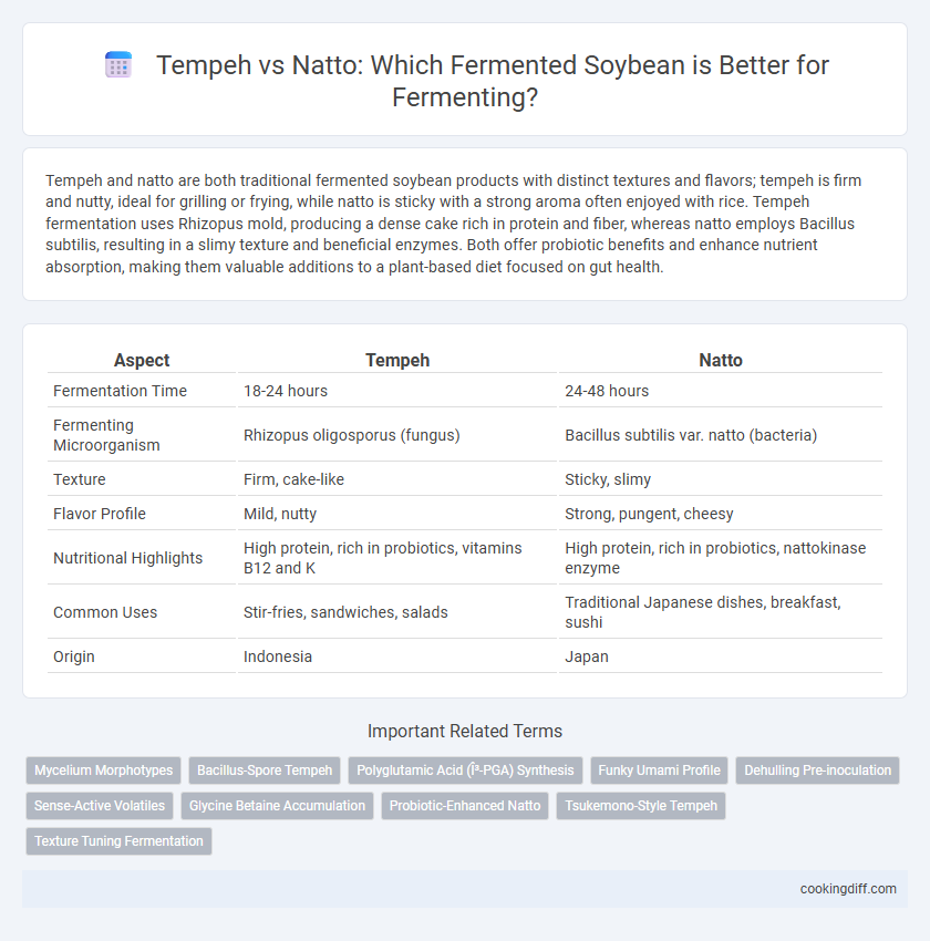 Tempeh vs Natto: Which Fermented Soybean is Better for Fermenting?