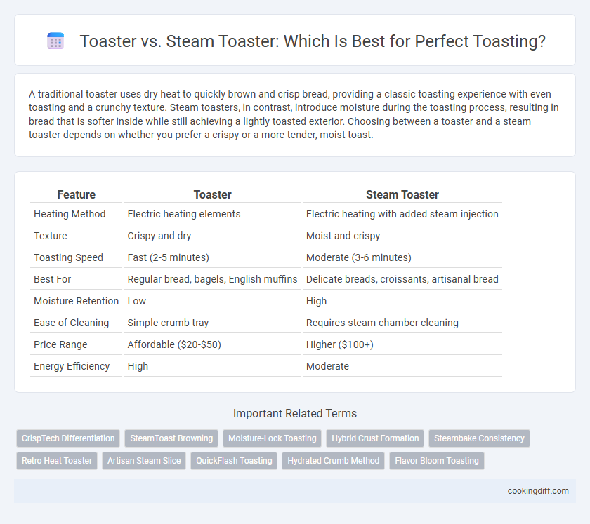Toaster vs. Steam Toaster: Which Is Best for Perfect Toasting?