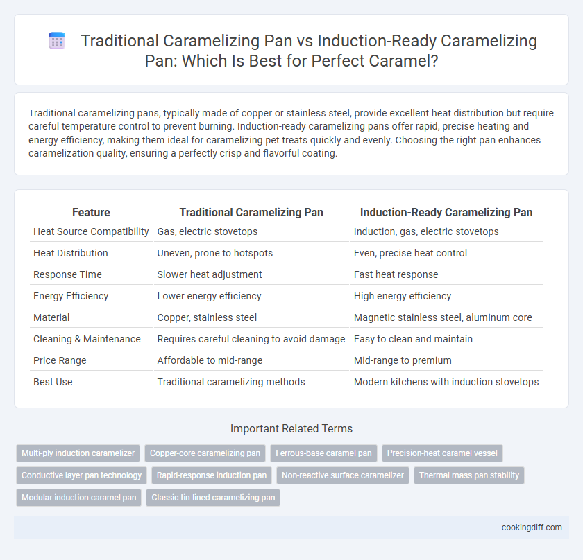 Traditional Caramelizing Pan vs Induction-Ready Caramelizing Pan: Which Is Best for Perfect Caramel?