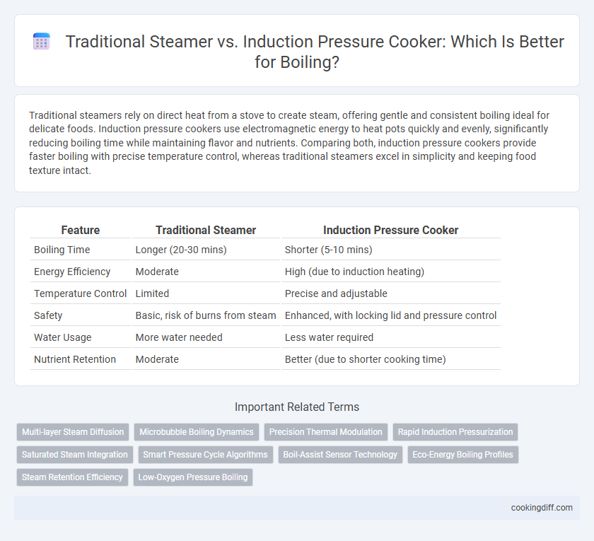 Traditional Steamer vs. Induction Pressure Cooker: Which Is Better for Boiling?