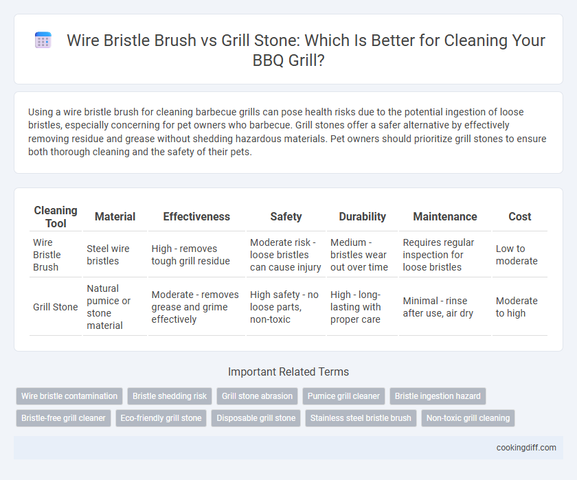 Wire Bristle Brush vs Grill Stone: Which Is Better for Cleaning Your BBQ Grill?