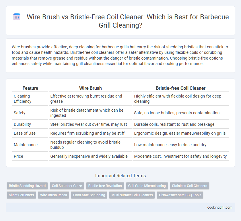 Wire Brush vs Bristle-Free Coil Cleaner: Which is Best for Barbecue Grill Cleaning?