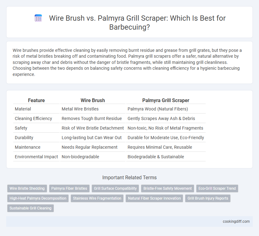 Wire Brush vs. Palmyra Grill Scraper: Which Is Best for Barbecuing?