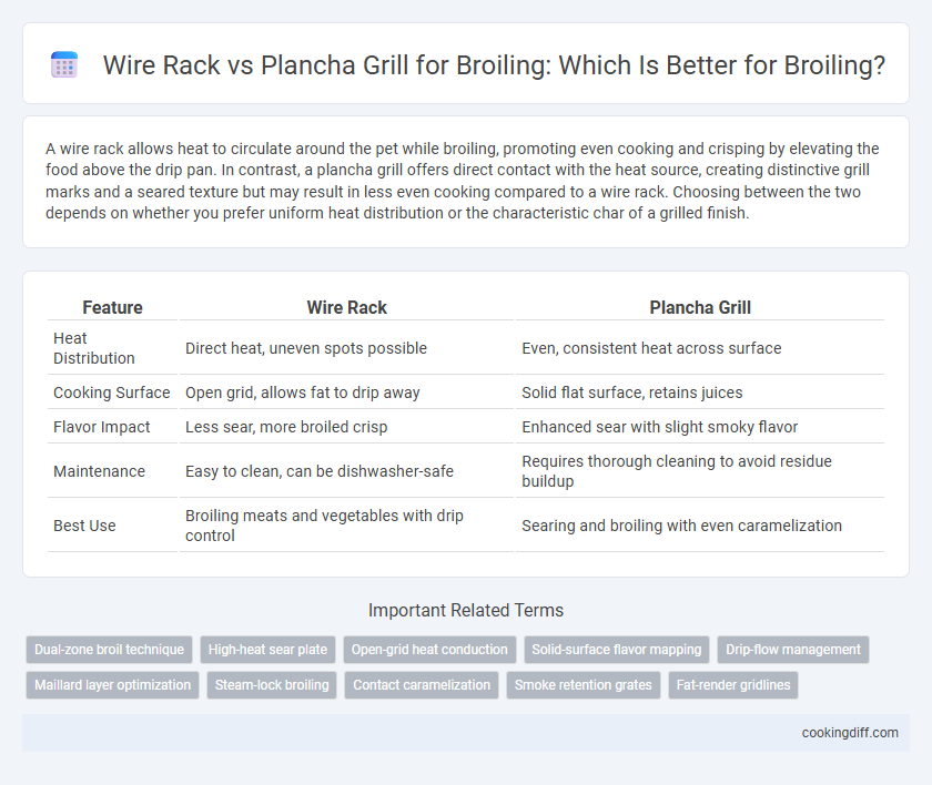 Wire Rack vs Plancha Grill for Broiling: Which Is Better for Broiling?