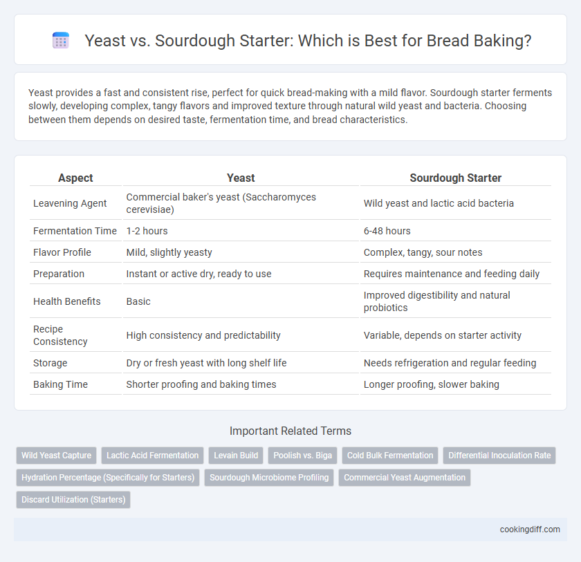 Yeast vs. Sourdough Starter: Which is Best for Bread Baking?