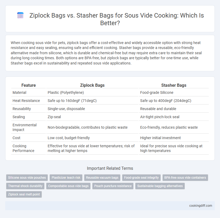 Ziplock Bags vs. Stasher Bags for Sous Vide Cooking: Which Is Better?