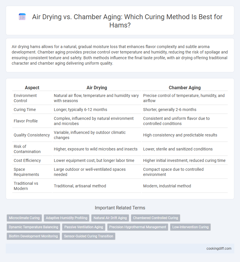 Air Drying vs. Chamber Aging: Which Curing Method Is Best for Hams?