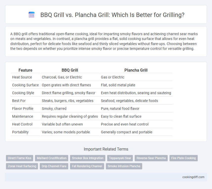BBQ Grill vs. Plancha Grill: Which Is Better for Grilling?
