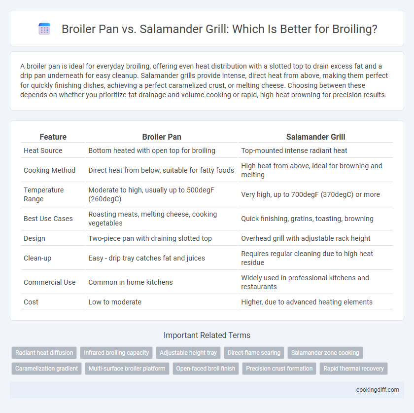 Broiler Pan vs. Salamander Grill: Which Is Better for Broiling?