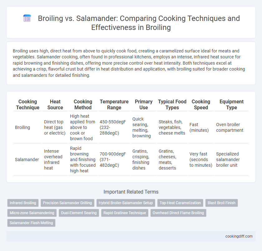 Broiling vs. Salamander: Comparing Cooking Techniques and Effectiveness in Broiling