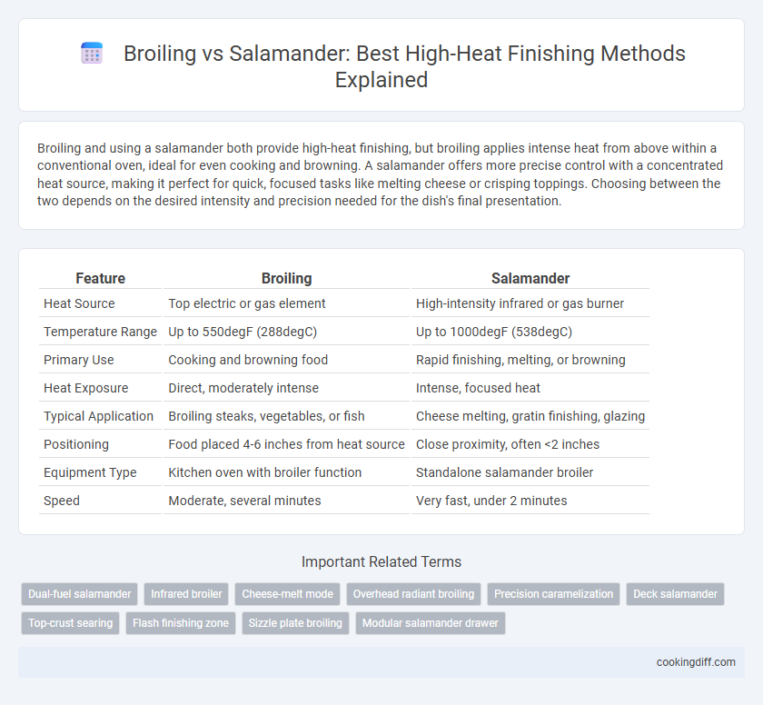 Broiling vs Salamander: Best High-Heat Finishing Methods Explained