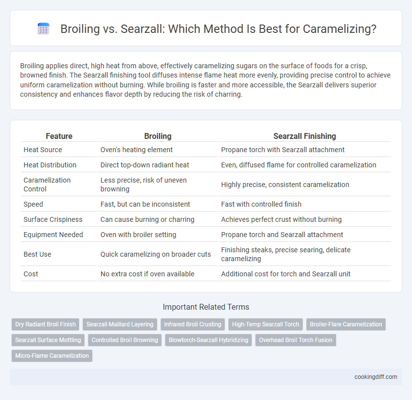 Broiling vs. Searzall: Which Method Is Best for Caramelizing?