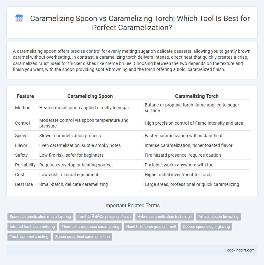 Caramelizing Spoon vs Caramelizing Torch: Which Tool Is Best for Perfect Caramelization?