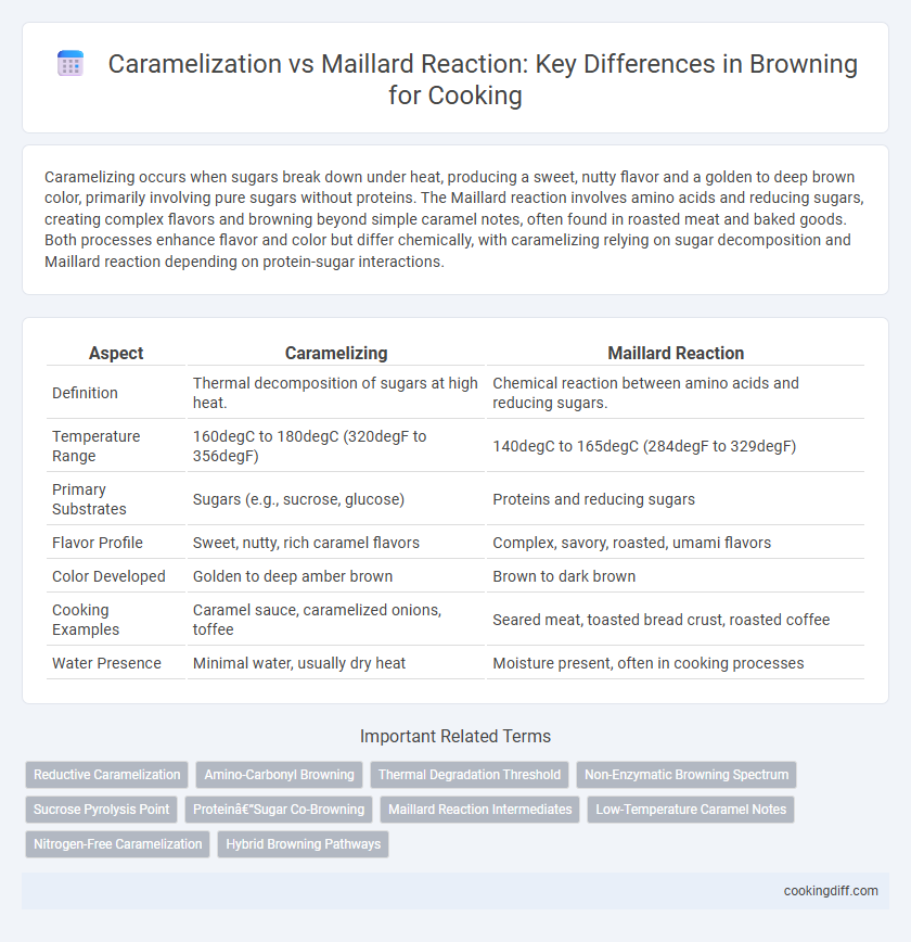 Caramelization vs Maillard Reaction: Key Differences in Browning for Cooking