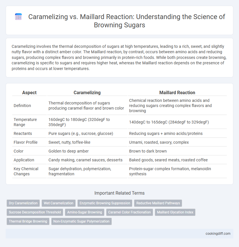 Caramelizing vs. Maillard Reaction: Understanding the Science of Browning Sugars