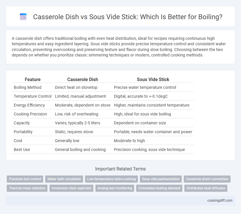 Casserole Dish vs Sous Vide Stick: Which Is Better for Boiling?