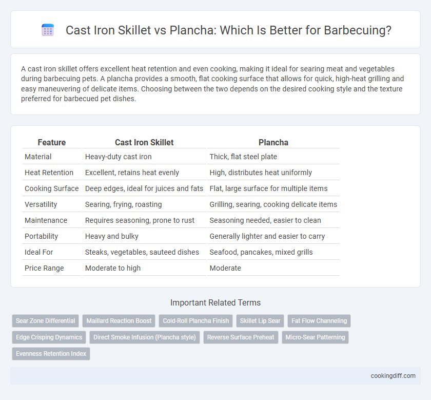 Cast Iron Skillet vs Plancha: Which Is Better for Barbecuing?