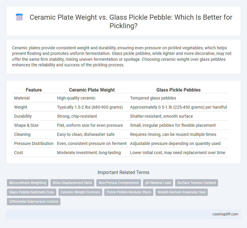 Ceramic Plate Weight vs. Glass Pickle Pebble: Which Is Better for Pickling?
