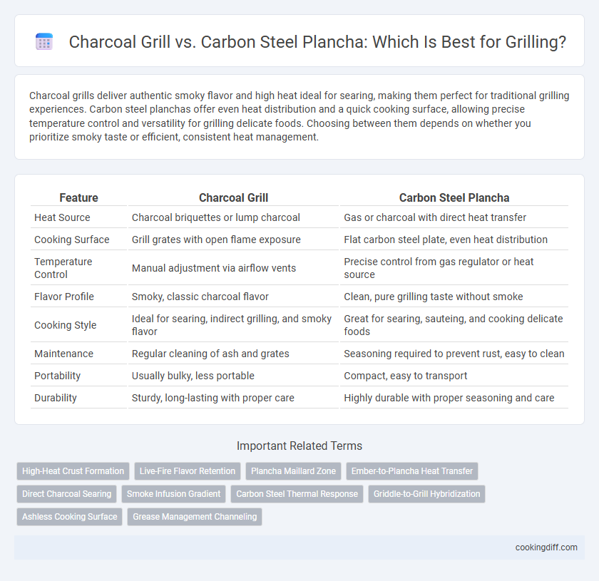 Charcoal Grill vs. Carbon Steel Plancha: Which Is Best for Grilling?