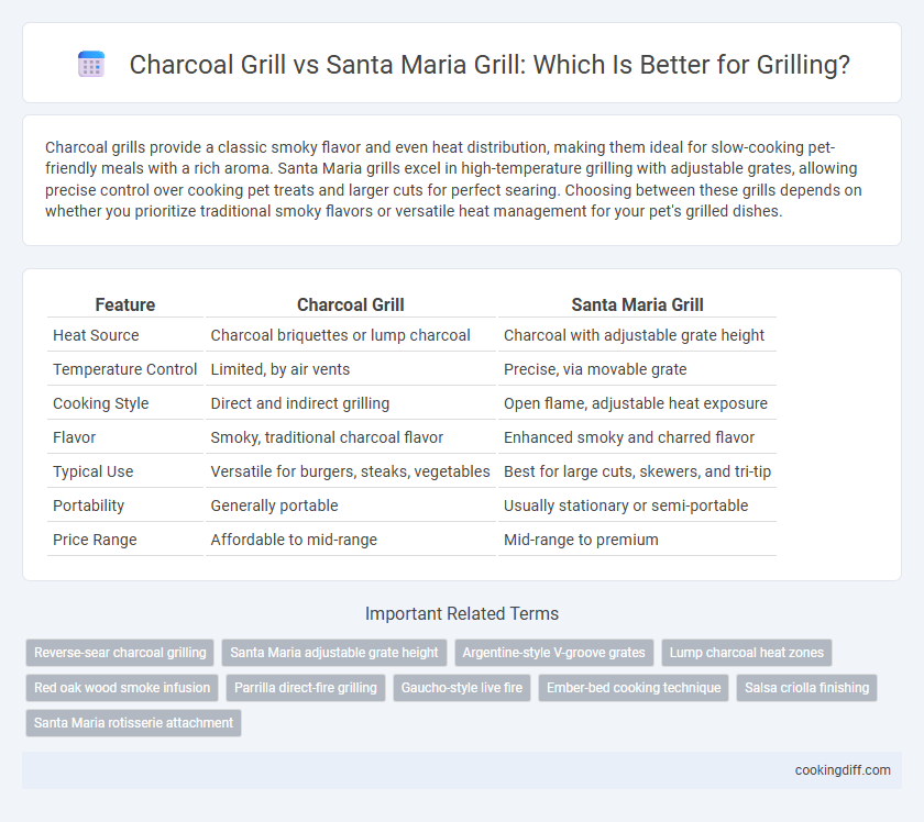 Charcoal Grill vs Santa Maria Grill: Which Is Better for Grilling?