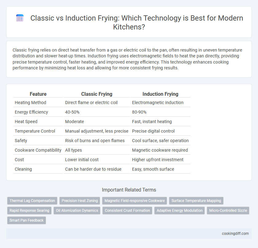 Classic vs Induction Frying: Which Technology is Best for Modern Kitchens?