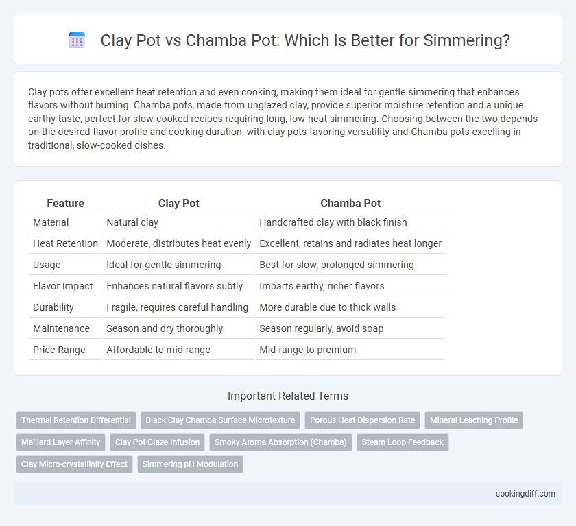 Clay Pot vs Chamba Pot: Which Is Better for Simmering?