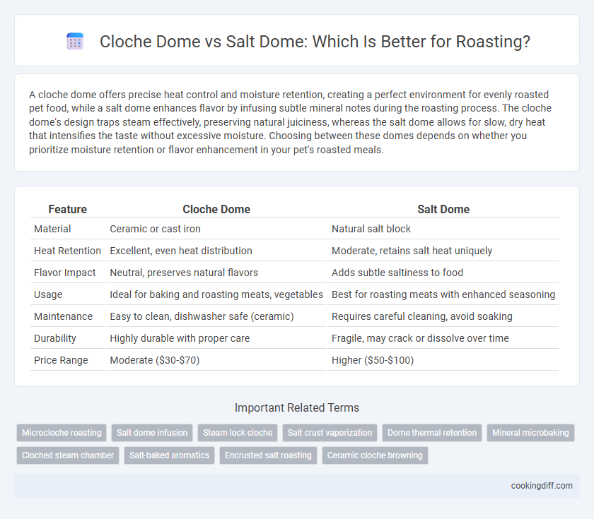 Cloche Dome vs Salt Dome: Which Is Better for Roasting?