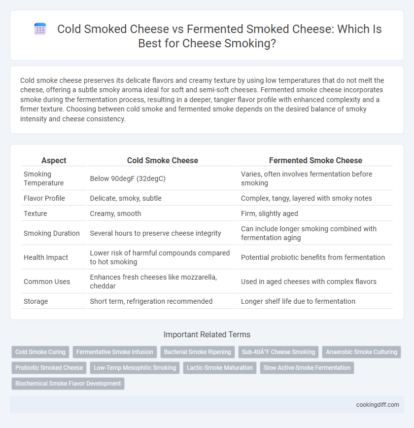 Cold Smoked Cheese vs Fermented Smoked Cheese: Which Is Best for Cheese Smoking?