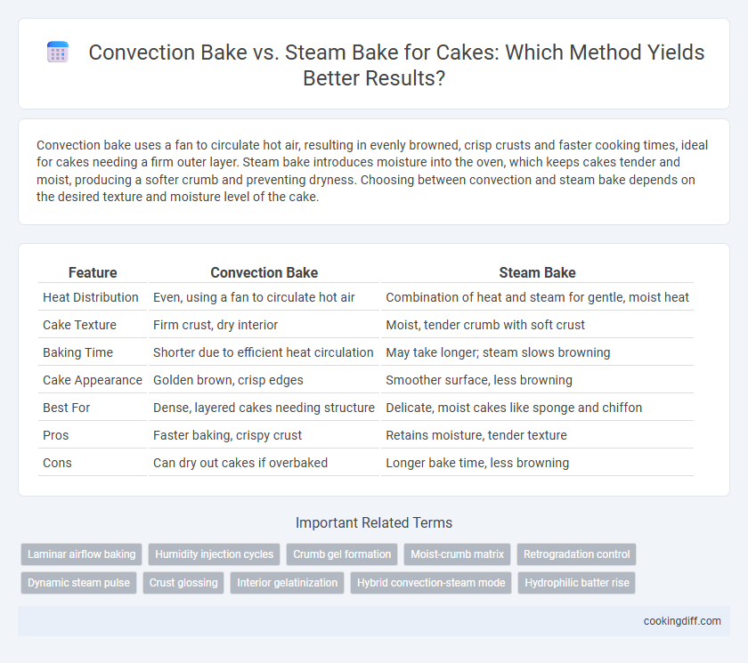 Convection Bake vs. Steam Bake for Cakes: Which Method Yields Better Results?
